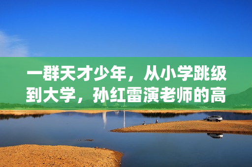 一群天才少年，从小学跳级到大学，孙红雷演老师的高分小众电影(一群天才少年的小说)