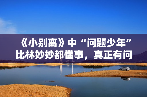 《小别离》中“问题少年”比林妙妙都懂事，真正有问题却是父母们