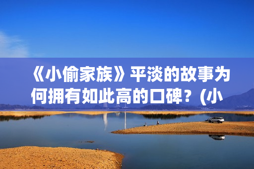 《小偷家族》平淡的故事为何拥有如此高的口碑？(小偷家族讲的是啥)