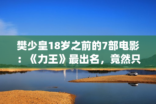樊少皇18岁之前的7部电影：《力王》最出名，竟然只卖214万港币(樊少皇年龄多大)