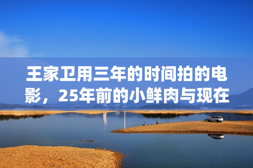 王家卫用三年的时间拍的电影，25年前的小鲜肉与现在有何不同？(播放王家卫的)