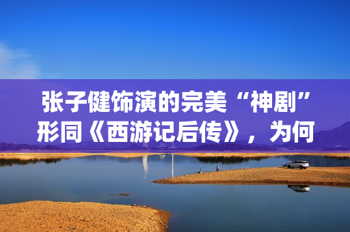 张子健饰演的完美“神剧”形同《西游记后传》，为何却被点名批评(张子健饰演的完美人生)