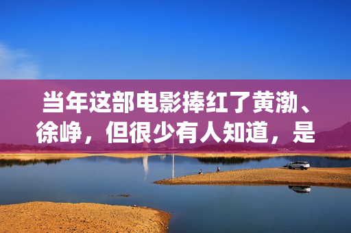 当年这部电影捧红了黄渤、徐峥，但很少有人知道，是刘德华投资的(当红电影)