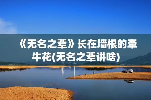 《无名之辈》长在墙根的牵牛花(无名之辈讲啥)