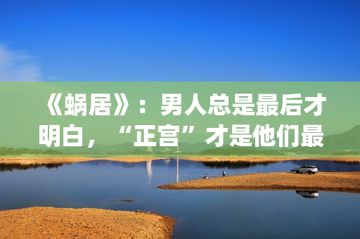 《蜗居》：男人总是最后才明白，“正宫”才是他们最坚定的同盟(蜗居男女)