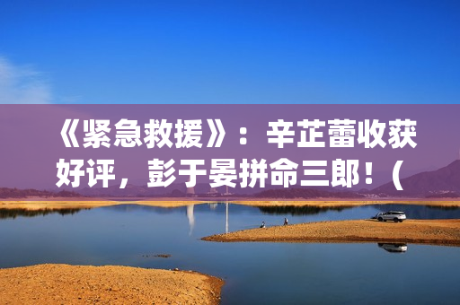 《紧急救援》：辛芷蕾收获好评，彭于晏拼命三郎！(紧急救援协助异常 宝马)