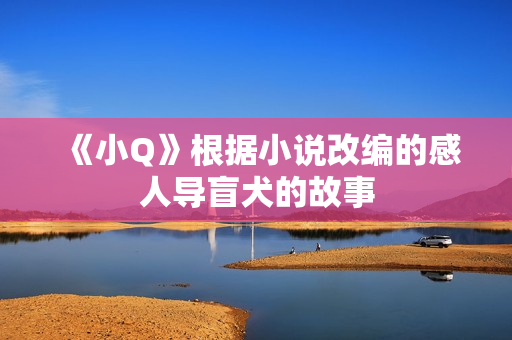 《小Q》根据小说改编的感人导盲犬的故事