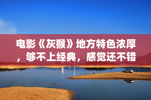 电影《灰猴》地方特色浓厚，够不上经典，感觉还不错值得一看(电影灰猴完整视频)