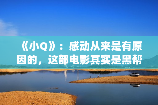 《小Q》：感动从来是有原因的，这部电影其实是黑帮片(电影小q里面的歌曲)