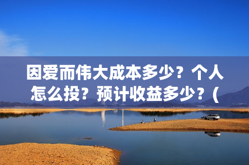 因爱而伟大成本多少？个人怎么投？预计收益多少？(因爱而伟大好不好看)