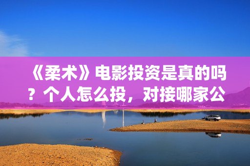 《柔术》电影投资是真的吗？个人怎么投，对接哪家公司(柔术这部电影怎么样)
