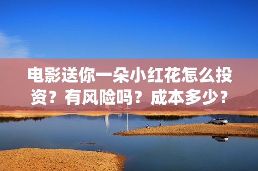 电影送你一朵小红花怎么投资？有风险吗？成本多少？(电影送你一朵小红花观后感)