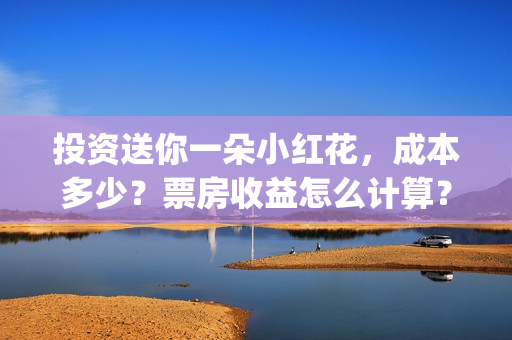 投资送你一朵小红花，成本多少？票房收益怎么计算？(投资送你一朵小红花骗局)