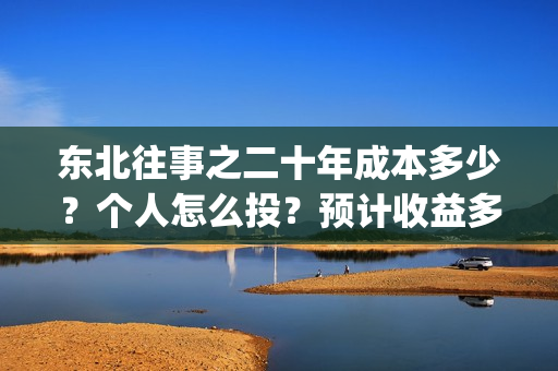 东北往事之二十年成本多少？个人怎么投？预计收益多少？(东北往事之二十年电影完整版)