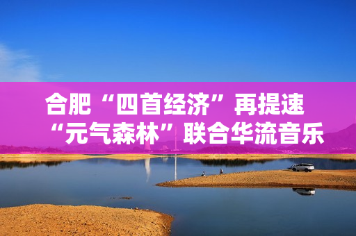 合肥“四首经济”再提速 “元气森林”联合华流音乐集团打造青年空间首店落户