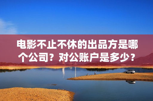 电影不止不休的出品方是哪个公司？对公账户是多少？(不止不休 mp4)
