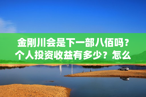 金刚川会是下一部八佰吗？个人投资收益有多少？怎么参与投资？成本多少？ (金刚川合理吗)