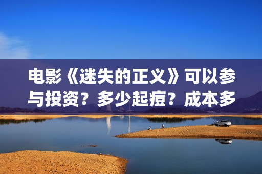 电影《迷失的正义》可以参与投资？多少起痘？成本多少？(迷失的剧情)