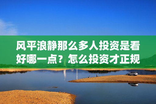 风平浪静那么多人投资是看好哪一点？怎么投资才正规？(风平浪静的时候是哪首歌)