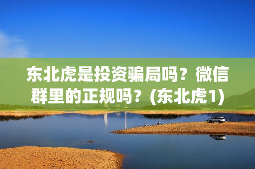 东北虎是投资骗局吗？微信群里的正规吗？(东北虎1)