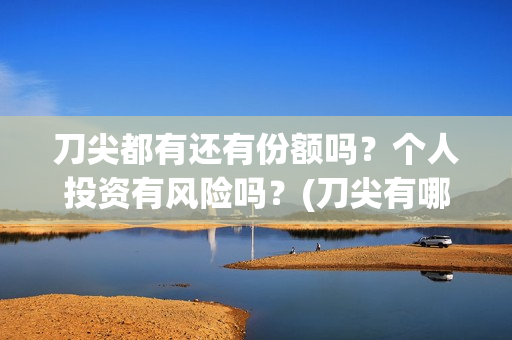 刀尖都有还有份额吗？个人投资有风险吗？(刀尖有哪几种)