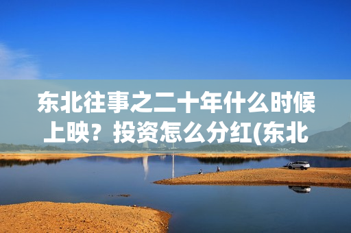 东北往事之二十年什么时候上映？投资怎么分红(东北往事之二十年上映了吗)