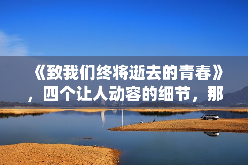 《致我们终将逝去的青春》，四个让人动容的细节，那是你的青春吗(致我们终将逝去的青春小说免费阅读)