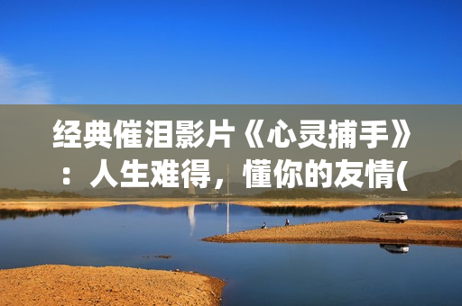 经典催泪影片《心灵捕手》：人生难得，懂你的友情(重磅催泪电影)