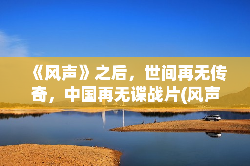 《风声》之后，世间再无传奇，中国再无谍战片(风声最后一句话)