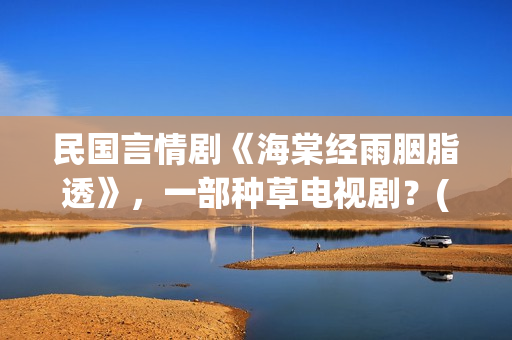 民国言情剧《海棠经雨胭脂透》，一部种草电视剧？(民国海战小说)