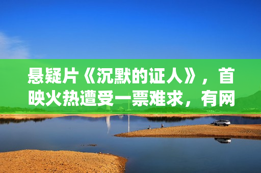 悬疑片《沉默的证人》，首映火热遭受一票难求，有网友质疑是炒作(沉默的门)