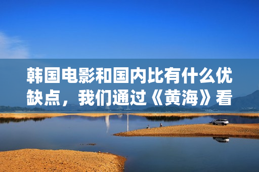韩国电影和国内比有什么优缺点，我们通过《黄海》看一下(韩国电影和国内电影)