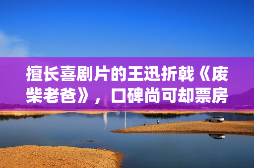 擅长喜剧片的王迅折戟《废柴老爸》，口碑尚可却票房惨淡(擅长喜剧片的王子叫什么)