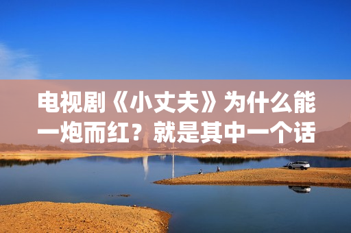 电视剧《小丈夫》为什么能一炮而红？就是其中一个话题，姐弟恋(电视剧小丈夫全集在线播放)