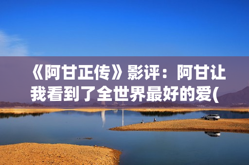 《阿甘正传》影评：阿甘让我看到了全世界最好的爱(阿甘正传影评英语)