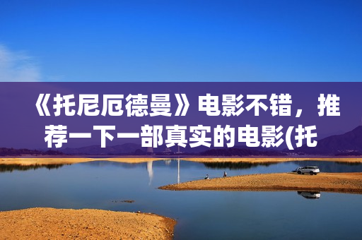 《托尼厄德曼》电影不错，推荐一下一部真实的电影(托尼 厄得曼)