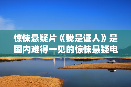 惊悚悬疑片《我是证人》是国内难得一见的惊悚悬疑电影(我恐怖片)