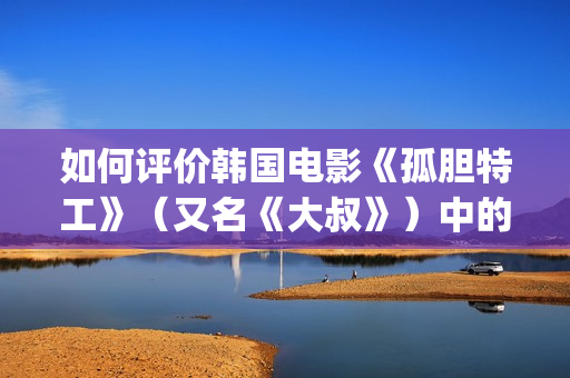 如何评价韩国电影《孤胆特工》（又名《大叔》）中的人物(韩国人评价中国电影)