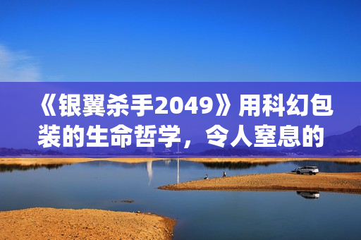 《银翼杀手2049》用科幻包装的生命哲学，令人窒息的视觉震撼(银翼杀手2049评分)