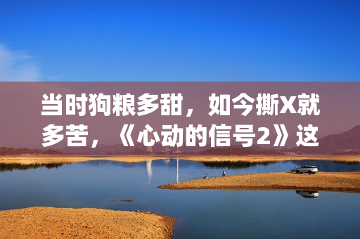 当时狗粮多甜，如今撕X就多苦，《心动的信号2》这一对“太难了”(狗粮时刻)