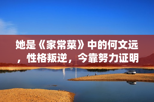 她是《家常菜》中的何文远，性格叛逆，今靠努力证明自己(家常菜的男主角叫什么名字)