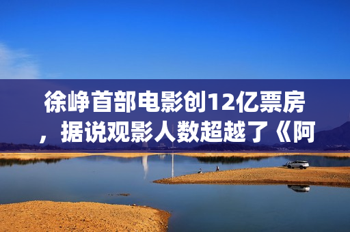 徐峥首部电影创12亿票房，据说观影人数超越了《阿凡达》(徐峥首部电影创作作品)