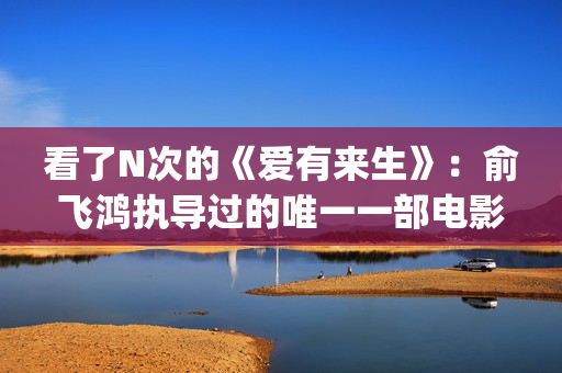 看了N次的《爱有来生》：俞飞鸿执导过的唯一一部电影(看了n次的《爱》的感悟)