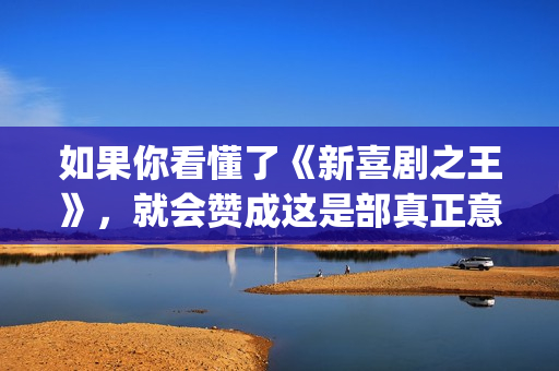 如果你看懂了《新喜剧之王》，就会赞成这是部真正意义上的好电影(如果你听懂了)