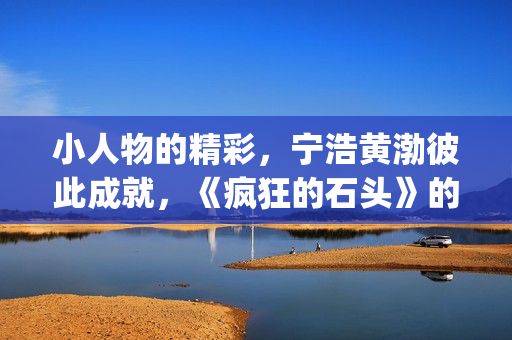 小人物的精彩，宁浩黄渤彼此成就，《疯狂的石头》的成功不无道理(小人物的精彩人生)