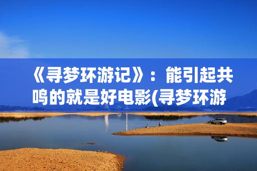 《寻梦环游记》：能引起共鸣的就是好电影(寻梦环游记在线观看)