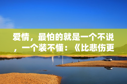 爱情，最怕的就是一个不说，一个装不懂：《比悲伤更悲伤的故事》(感情中最怕的就是)