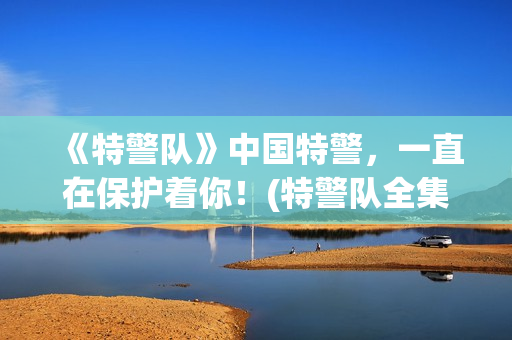《特警队》中国特警，一直在保护着你！(特警队全集)