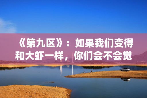 《第九区》：如果我们变得和大虾一样，你们会不会觉得曾经错过(第九区说的什么)