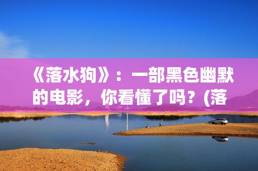 《落水狗》：一部黑色幽默的电影，你看懂了吗？(落水狗下一句是什么)